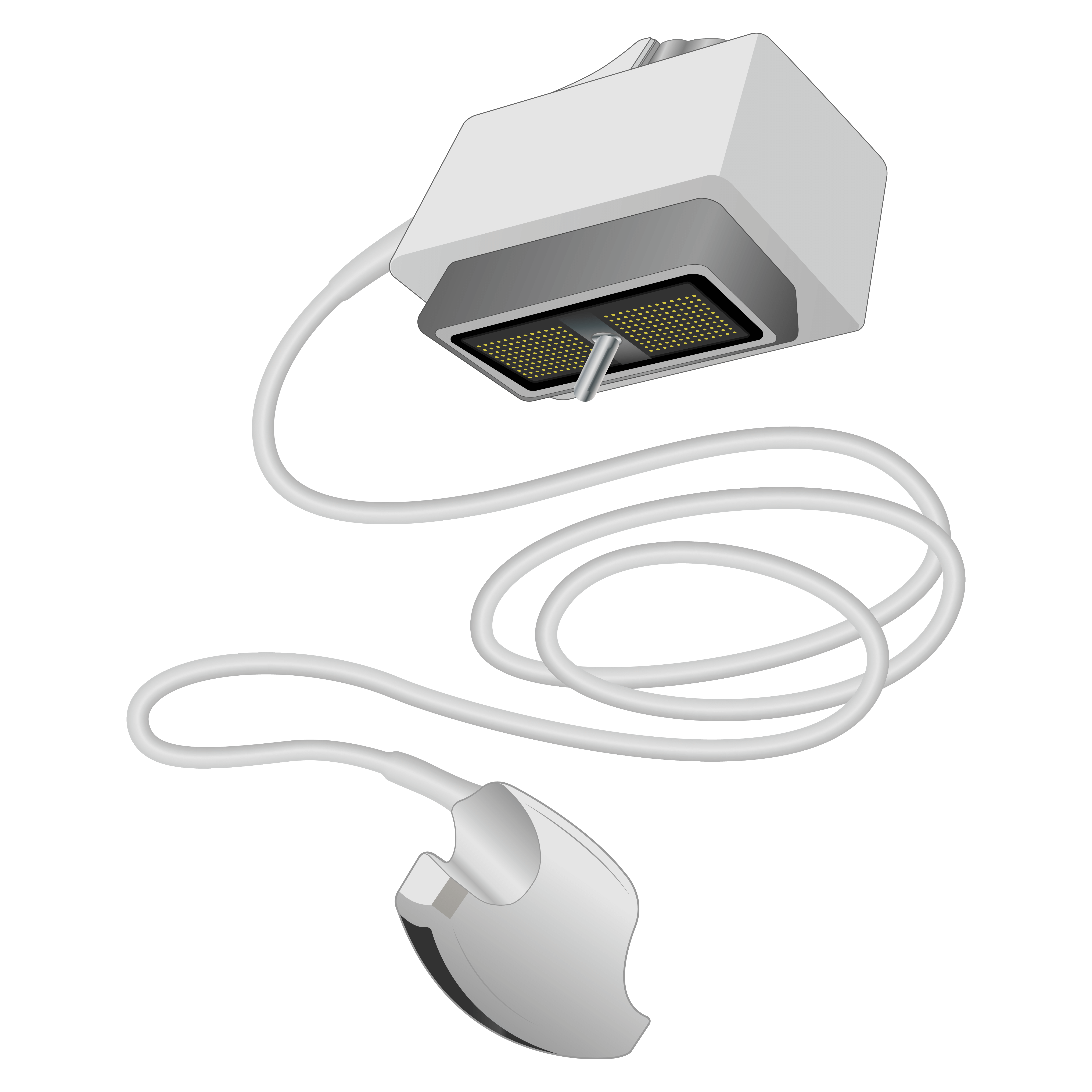 elzhen.com