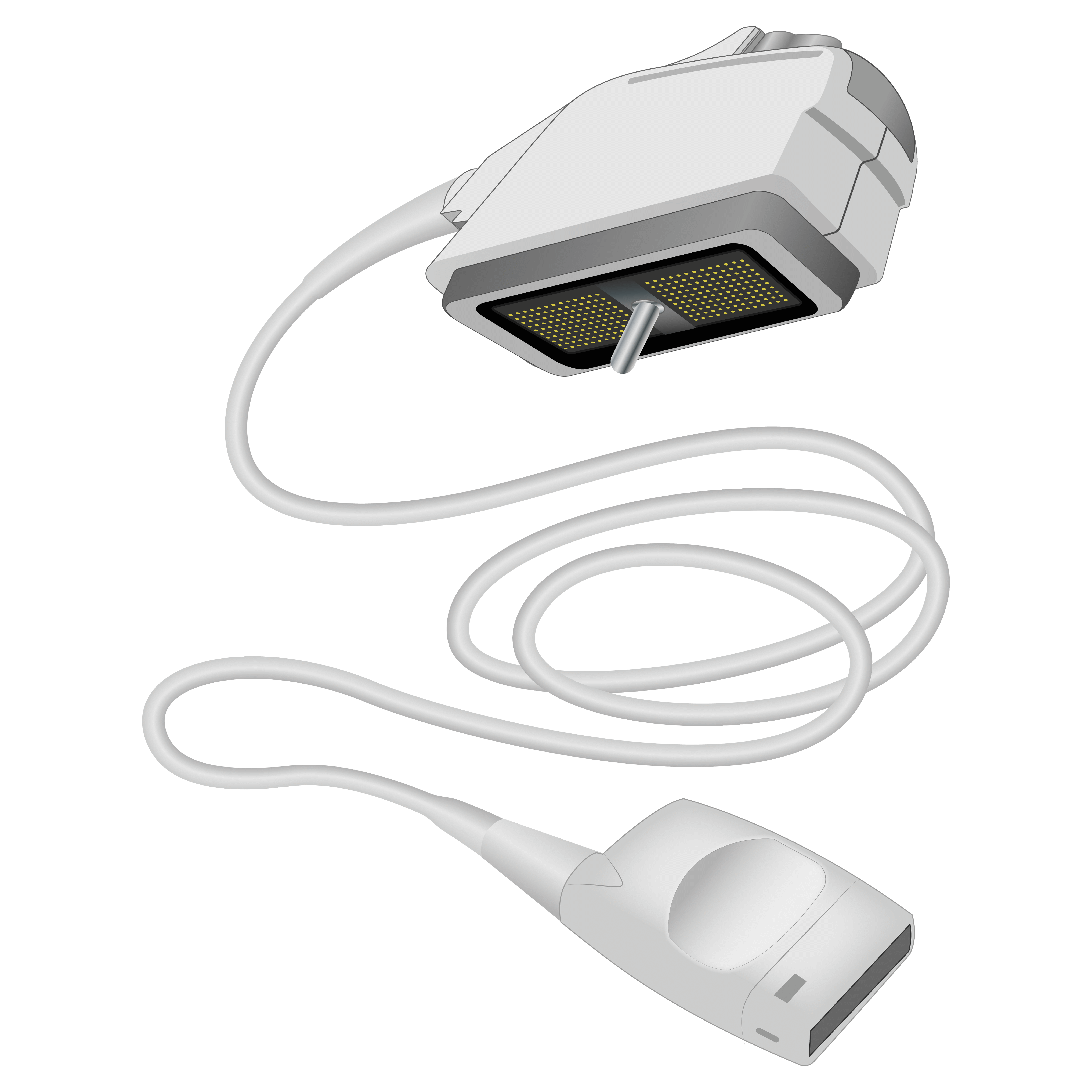 elzhen.com