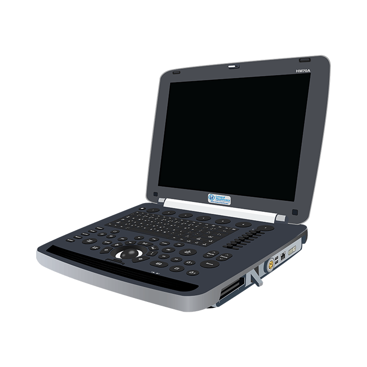 elzhen.com