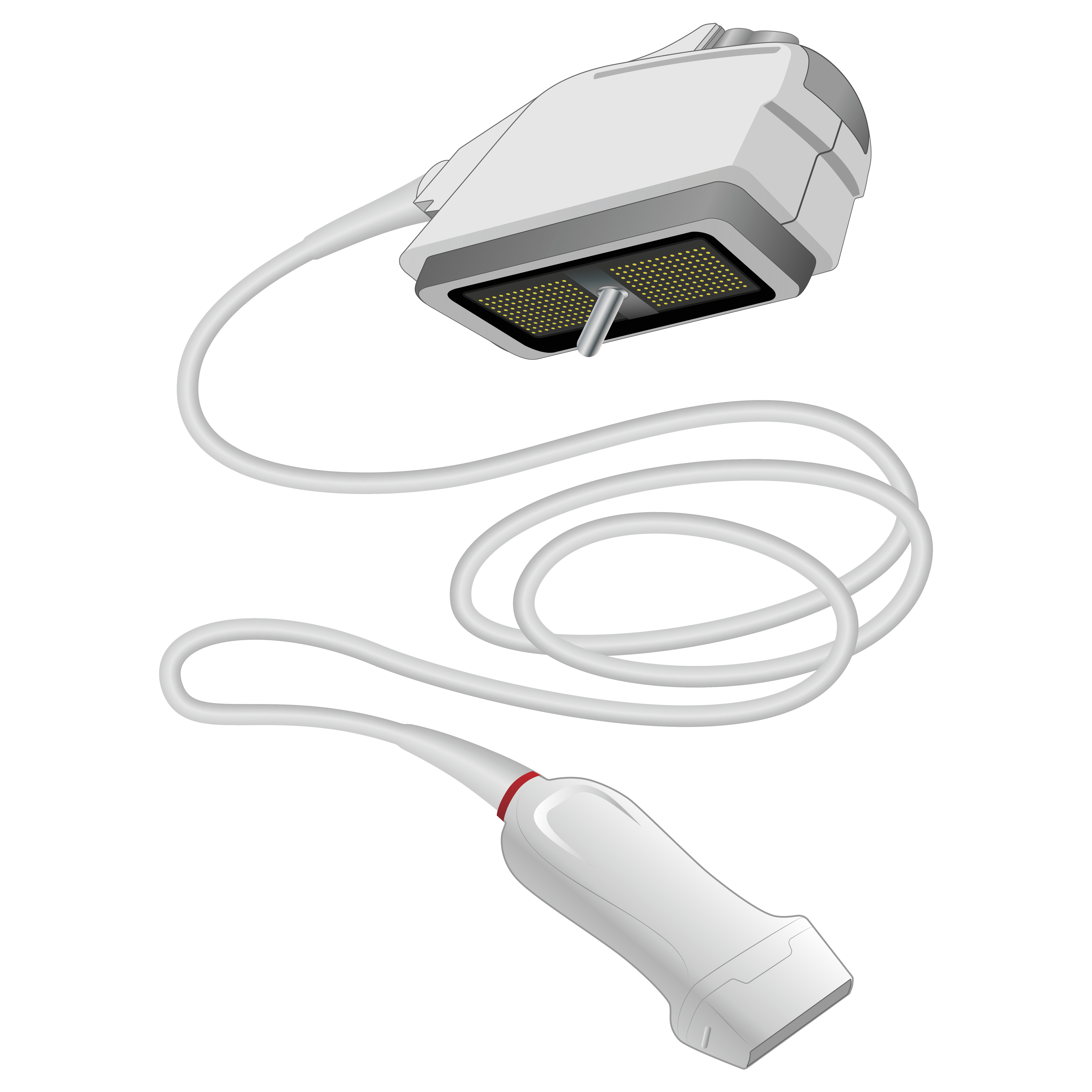elzhen.com