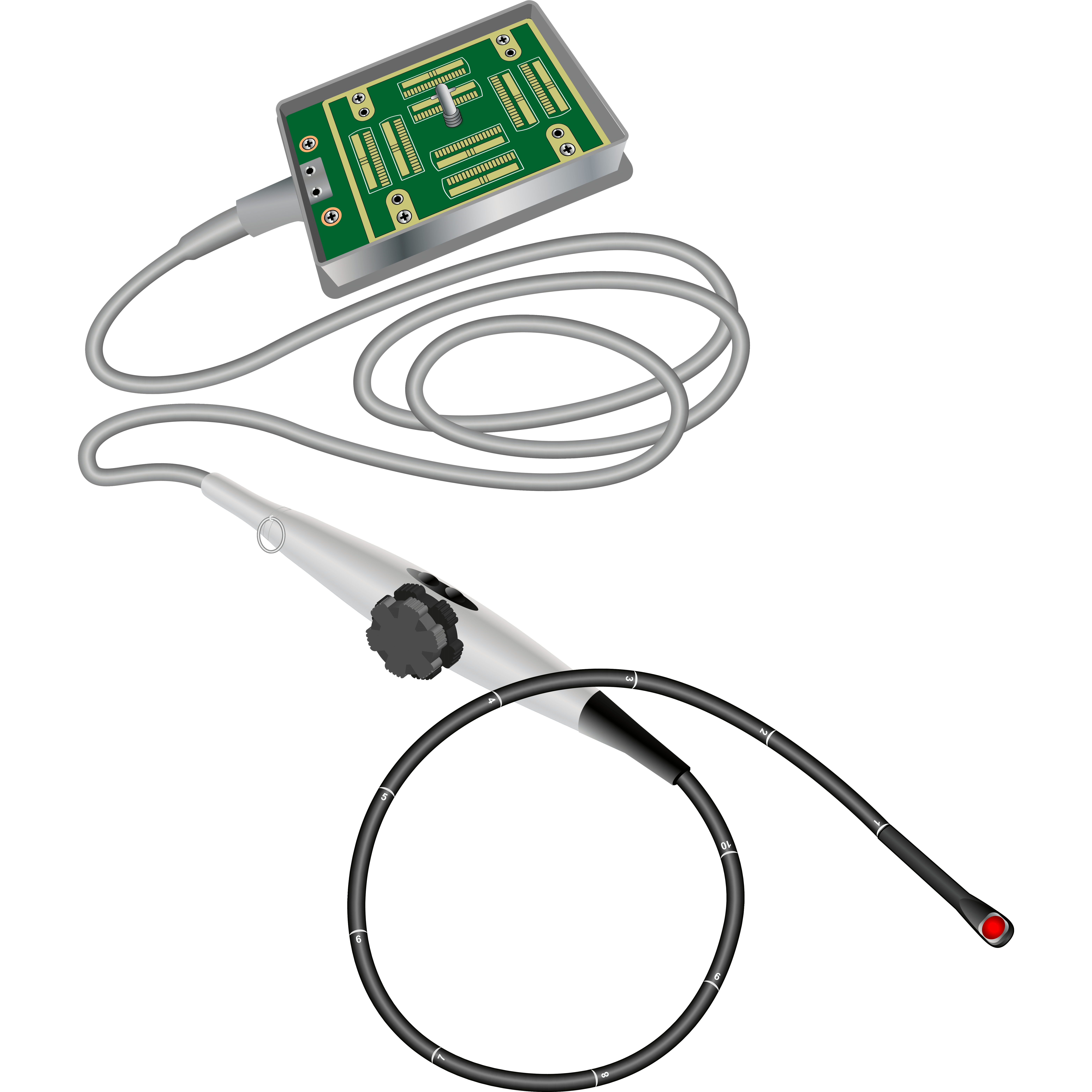 elzhen.com
