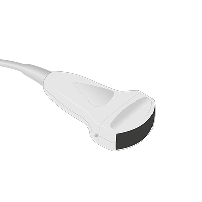 C543