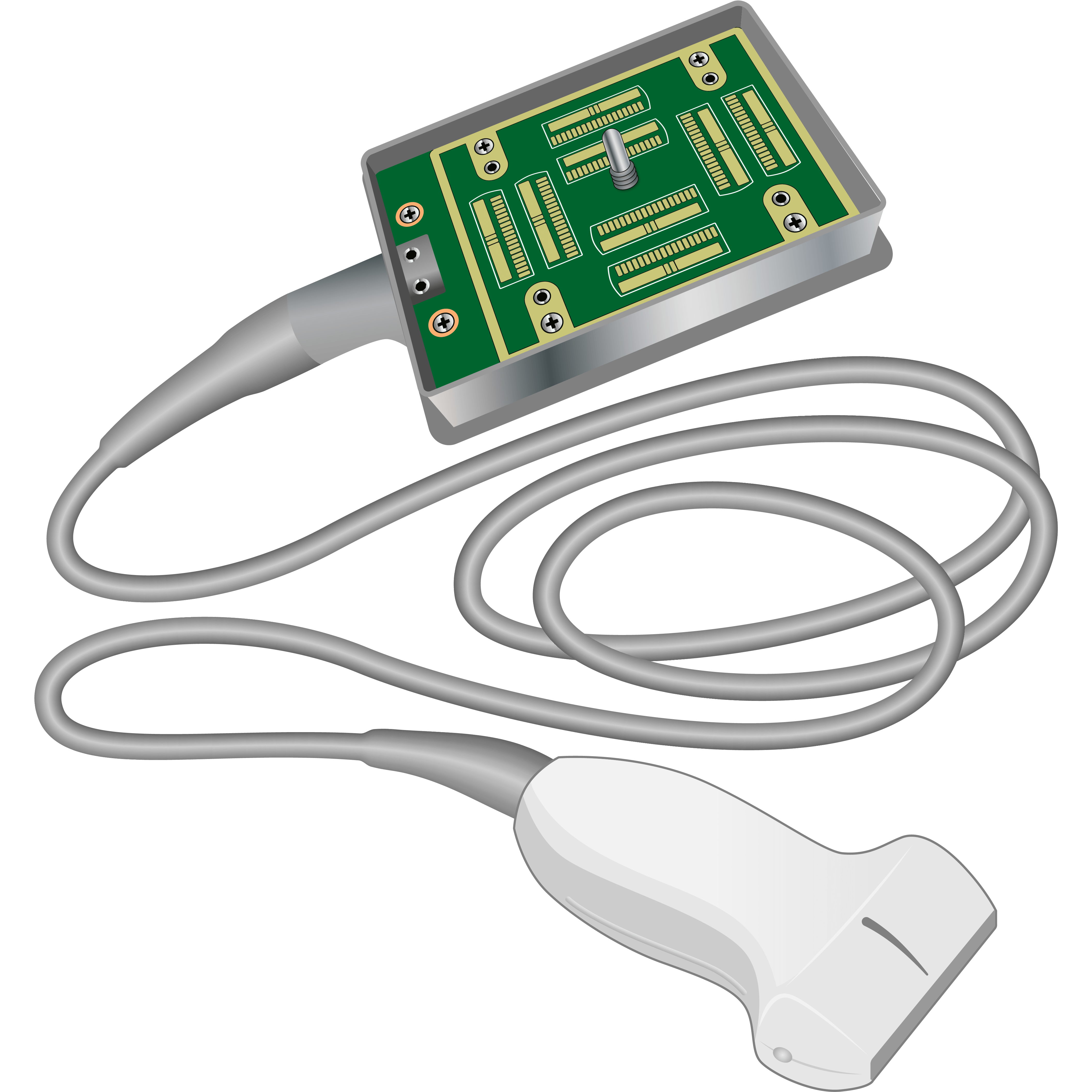 elzhen.com