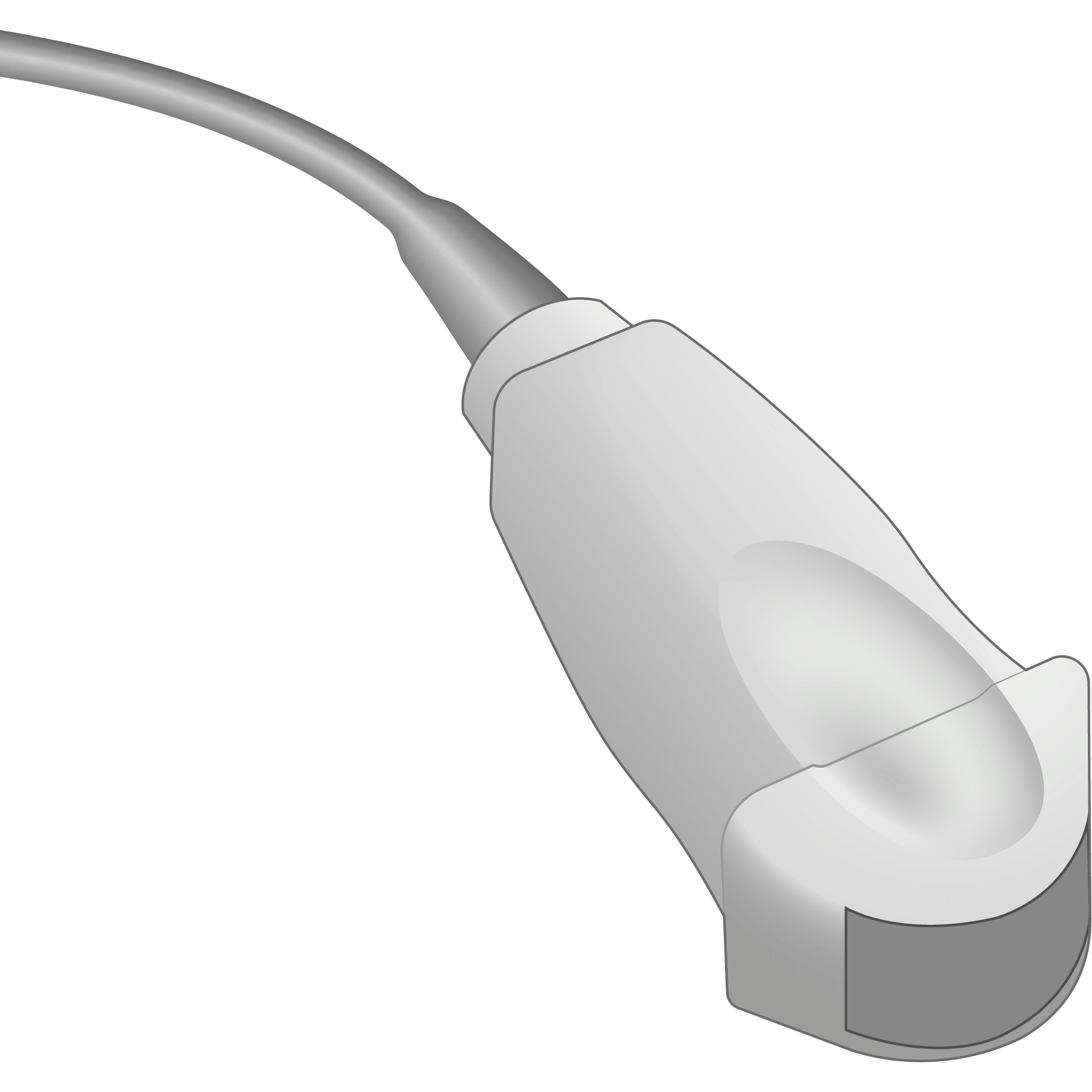 C15e