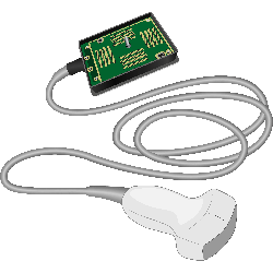 Fujifilm Sonosite C10-3