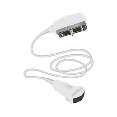 C344