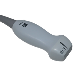 rP19xp