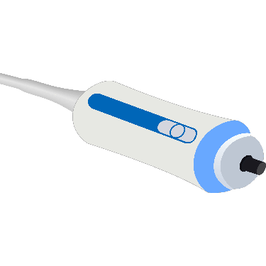 FibroScan Probe M plus