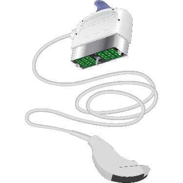 C2-6b-D