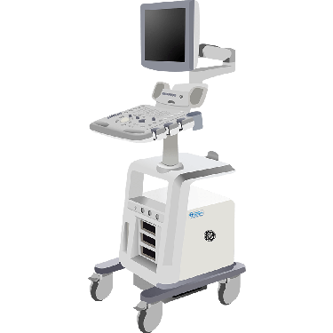 GE Healthcare Logiq A5 Pro R1.0.x