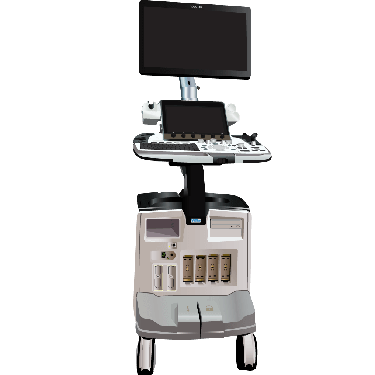 GE Healthcare Logiq E10s R2.x.x
