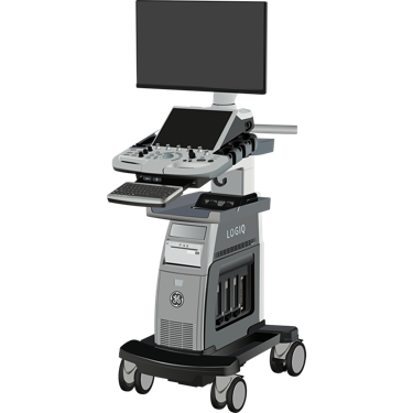 GE Healthcare Logiq P10 R4