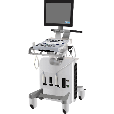 GE Healthcare Vivid S6
