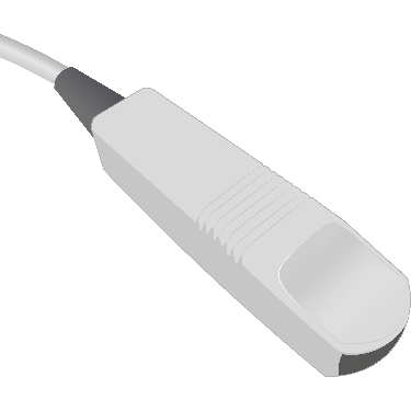 C31