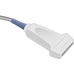 Refurbished Fujifilm Sonosite HFL38 Linear Array Probe