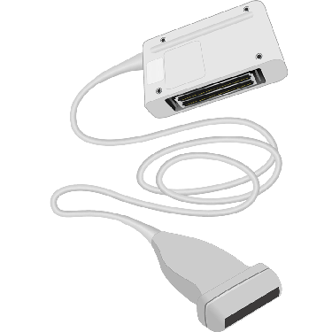 L12-5 50
