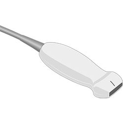 L19-5