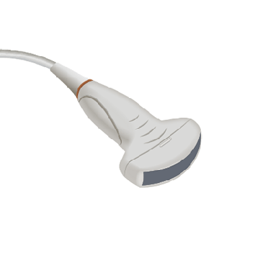 Transducer Repair & Evaluation