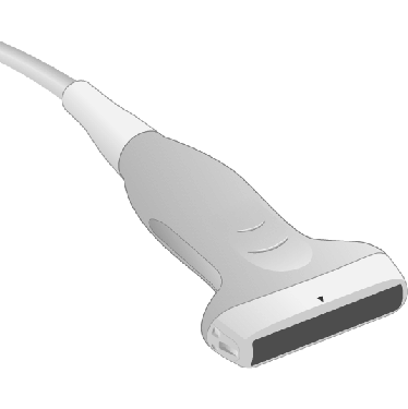 Transducer Repair & Evaluation