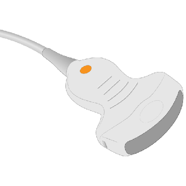Transducer Repair & Evaluation