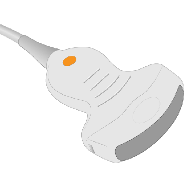 C5-2v