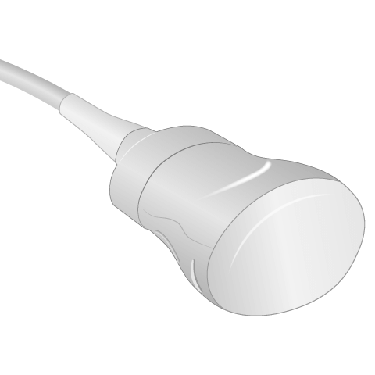 Transducer Repair & Evaluation