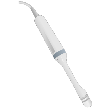 Endo VII