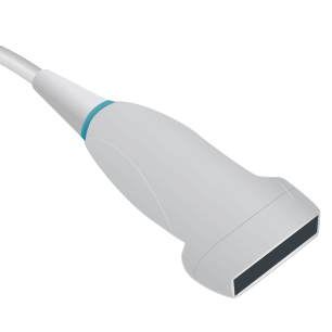 Transducer Repair & Evaluation