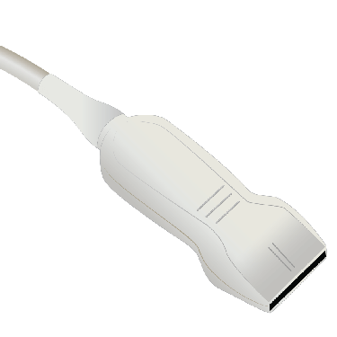 Transducer Repair & Evaluation