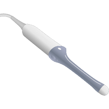 Transducer Repair & Evaluation