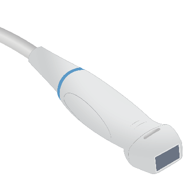 Transducer Repair & Evaluation