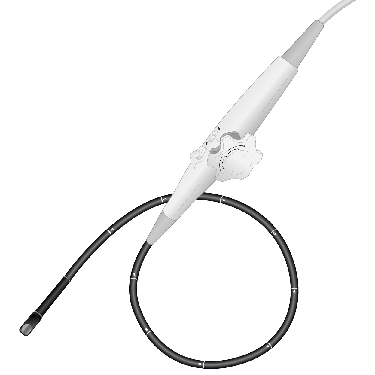 Transducer Repair & Evaluation