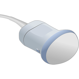Transducer Repair & Evaluation