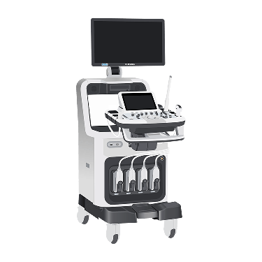 Accuvix A30