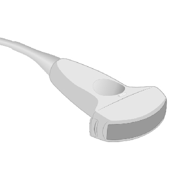 C2-8A