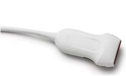 Transducer Repair & Evaluation