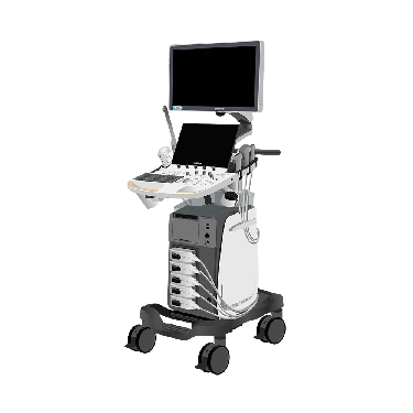 SonoScape P40