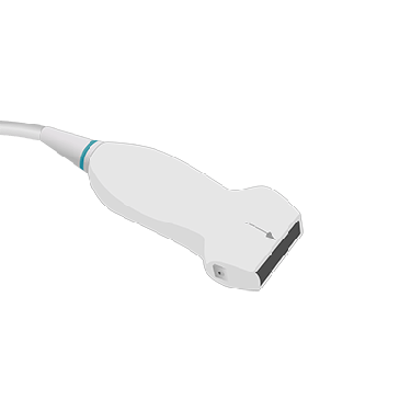 Transducer Repair & Evaluation