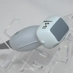 P21xp